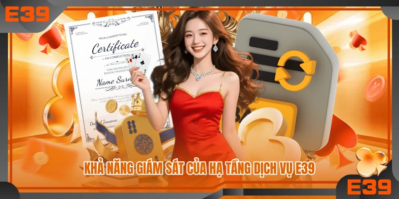 Khả năng giám sát của hạ tầng dịch vụ E39